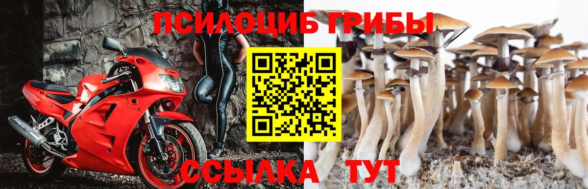 Галлюциногенные грибы Magic Shrooms Курчалой