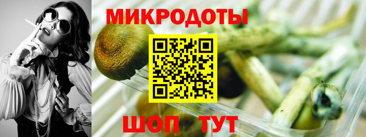 Псилоцибиновые грибы Psilocybine cubensis  Вход с VPN  Курчалой  Псилоцибиновые грибы прущие грибы 